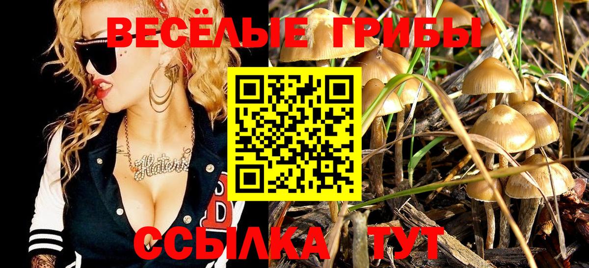 Псилоцибиновые грибы мухоморы  Вход с VPN  Богородск  Псилоцибиновые грибы MAGIC MUSHROOMS 